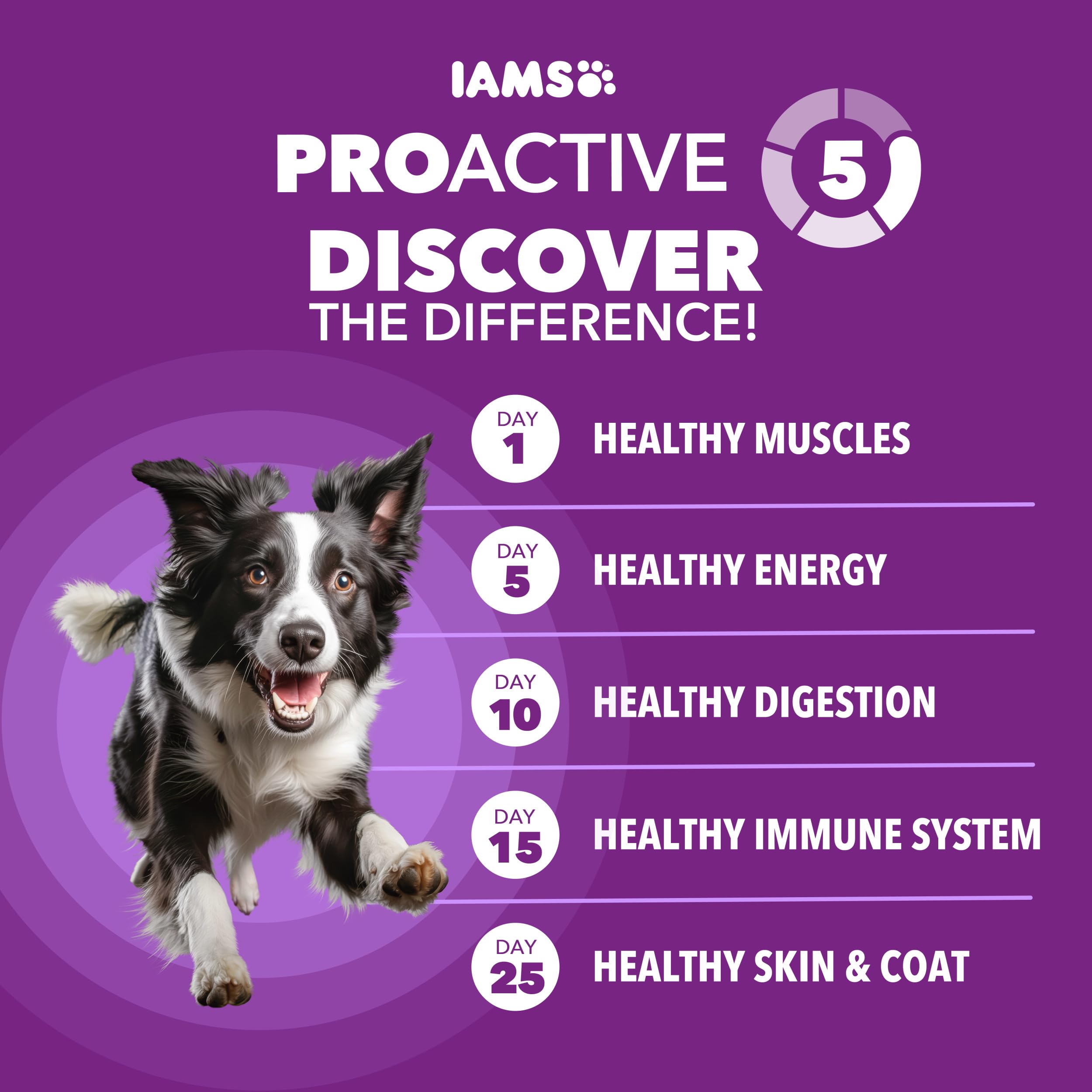 IAMS kibble close-up showing texture and coat health.