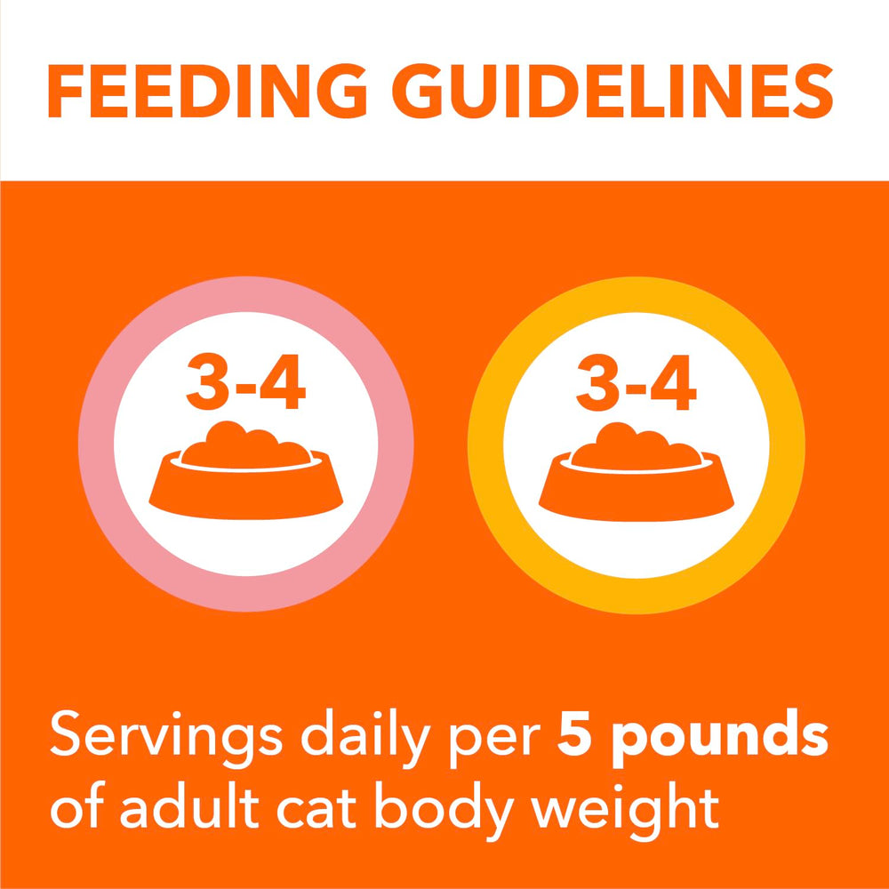 Complete and balanced cat pate supporting digestion in cats
