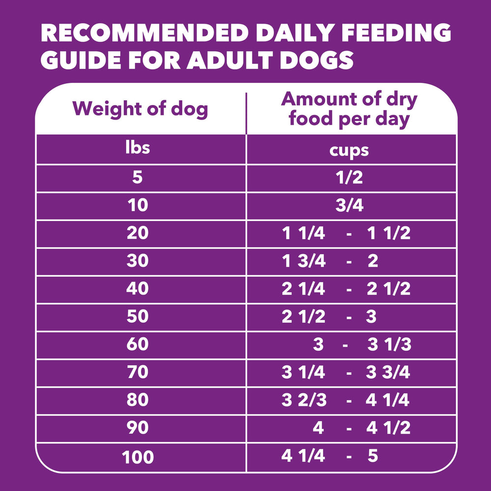 IAMS daily feeding guidance icon encourages a consistent routine for pet care.