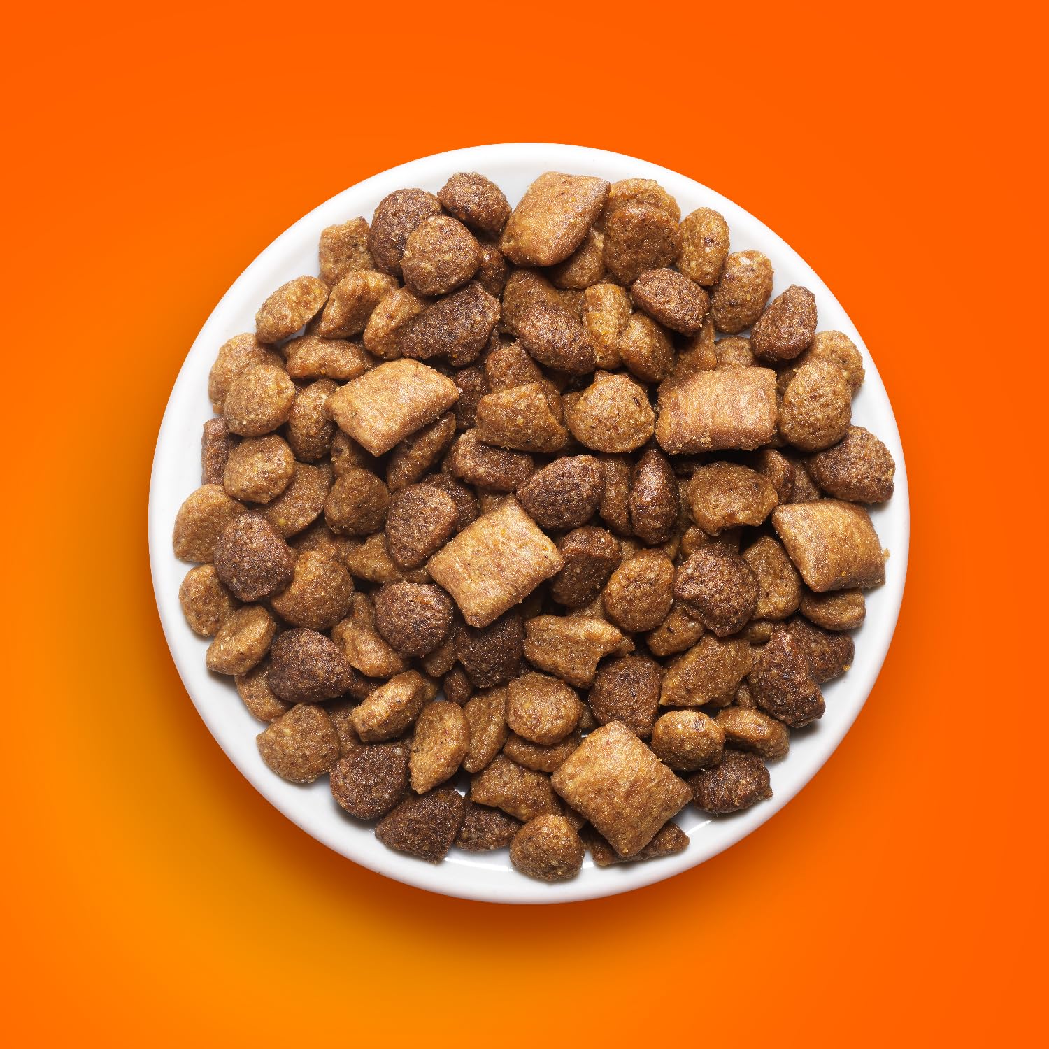 Kibble texture of IAMS Healthy Enjoyment showing crunchy outside and tender center