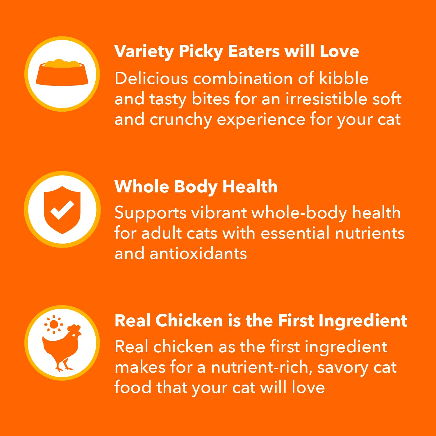 IAMS Healthy Enjoyment packaging promoting 6 lb bag for easy feeding routines