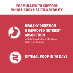 Dog bowl with IAMS Proactive Health kibble ideal for daily meals and energy.