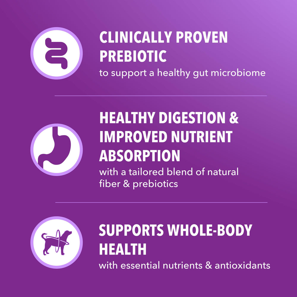 IAMS Natural grains provide daily energy for dogs' activities.
