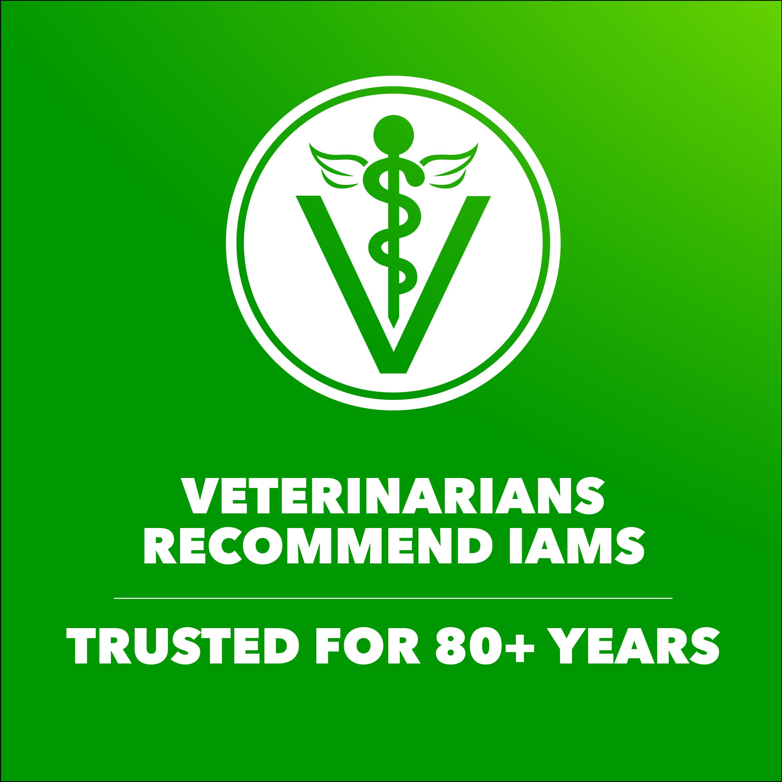 Kibble from IAMS with omega-6 for skin and coat health