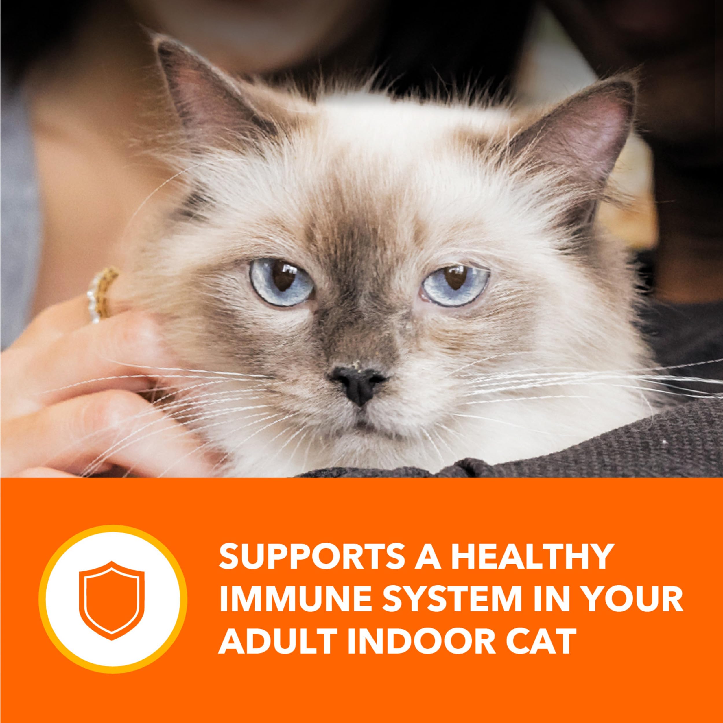 IAMS Perfect Portions digestion-support-prebiotic-fiber supports gut balance.