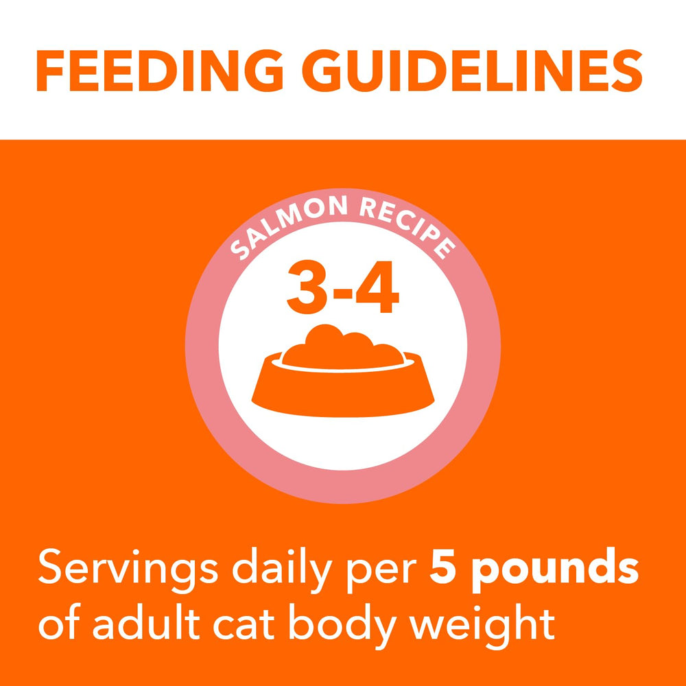 IAMS Perfect Portions Empty tray highlights fresh, mess-free mealtime.