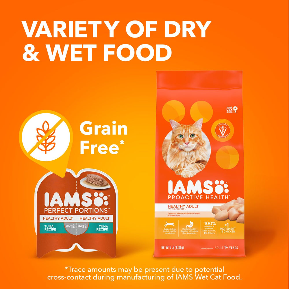 Indoor cat enjoys meal, reflecting everyday feeding routine with IAMS.