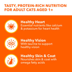 Close-up of IAMS pate texture highlighting grain-free, natural flavor.