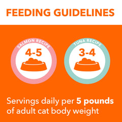IAMS Perfect Portions twin-pack-trays for two fresh meals with gravy.