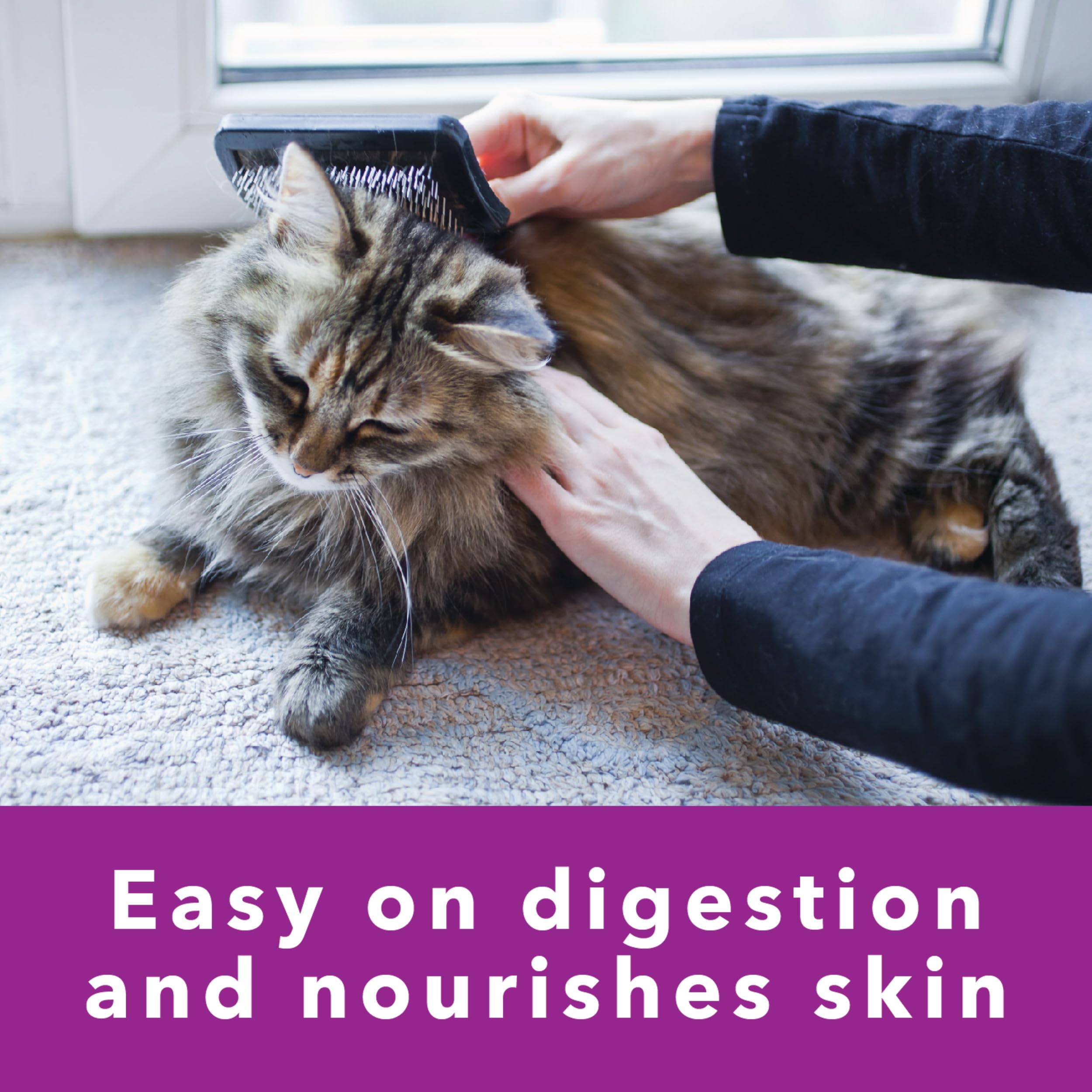IAMS Perfect Portions USA-made ingredients from trusted sources.