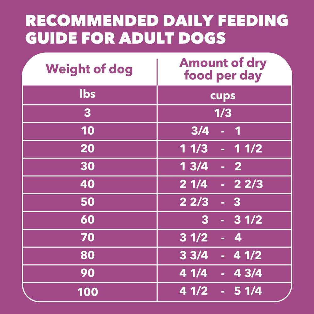 IAMS Proactive Health 15 lb bag packaging ready for easy feeding