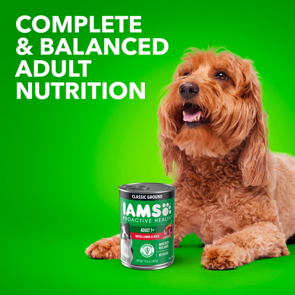 Packaged IAMS Proactive Health wet dog food ready for storage