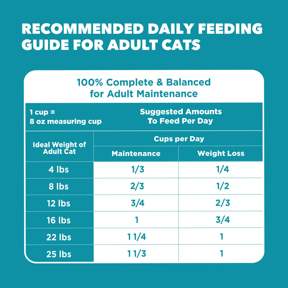 IAMS Proactive Health adult cat meal setup showcases complete nutrition for every life stage.