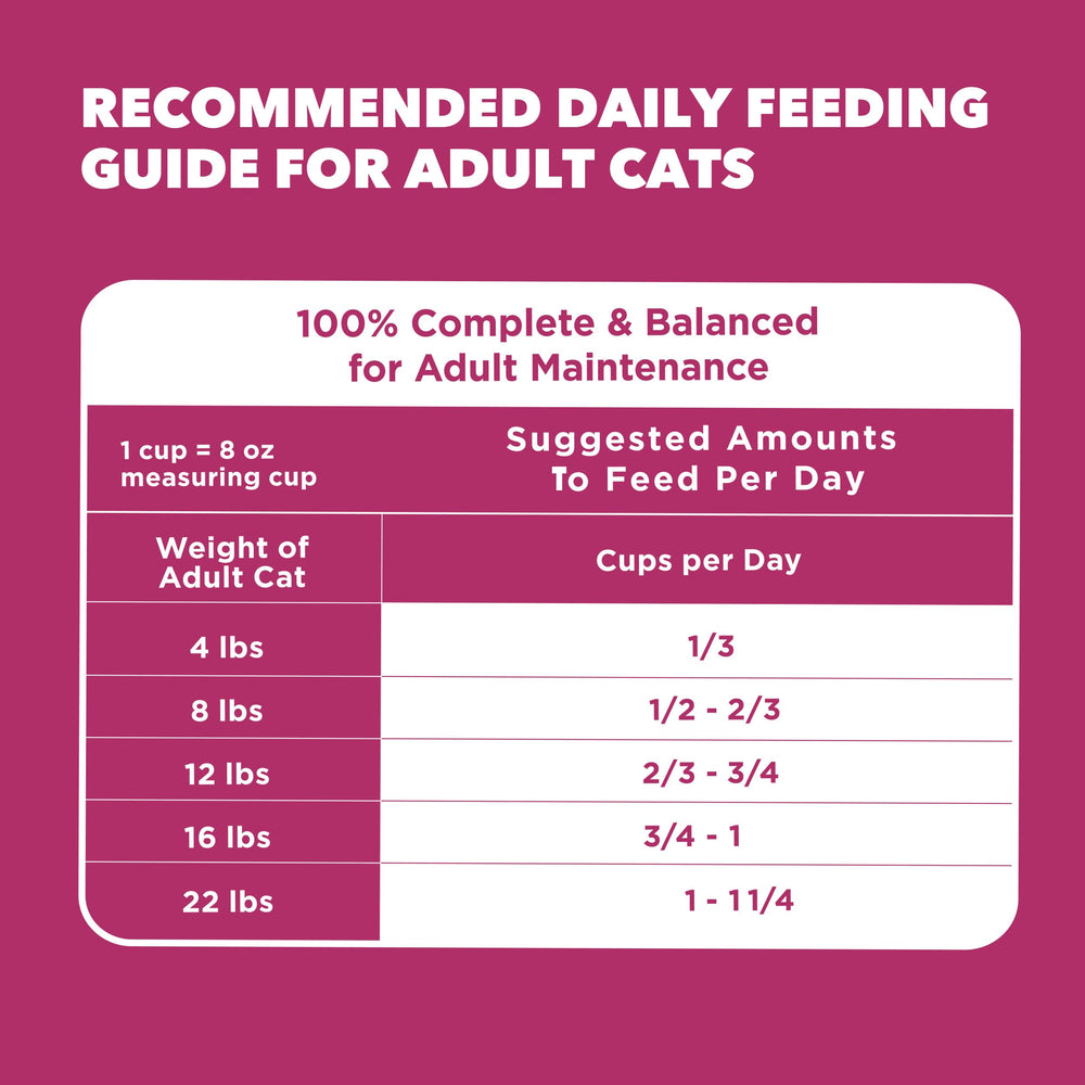 Serving bowl of IAMS Proactive Health for adult indoor cats