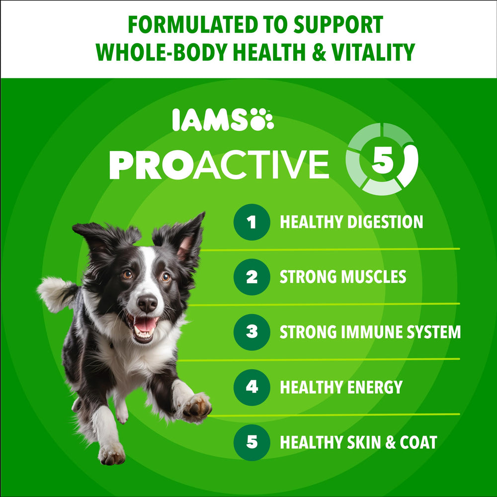 IAMS Proactive Health Minichunks kibble closeup shows texture and wholesome grains.