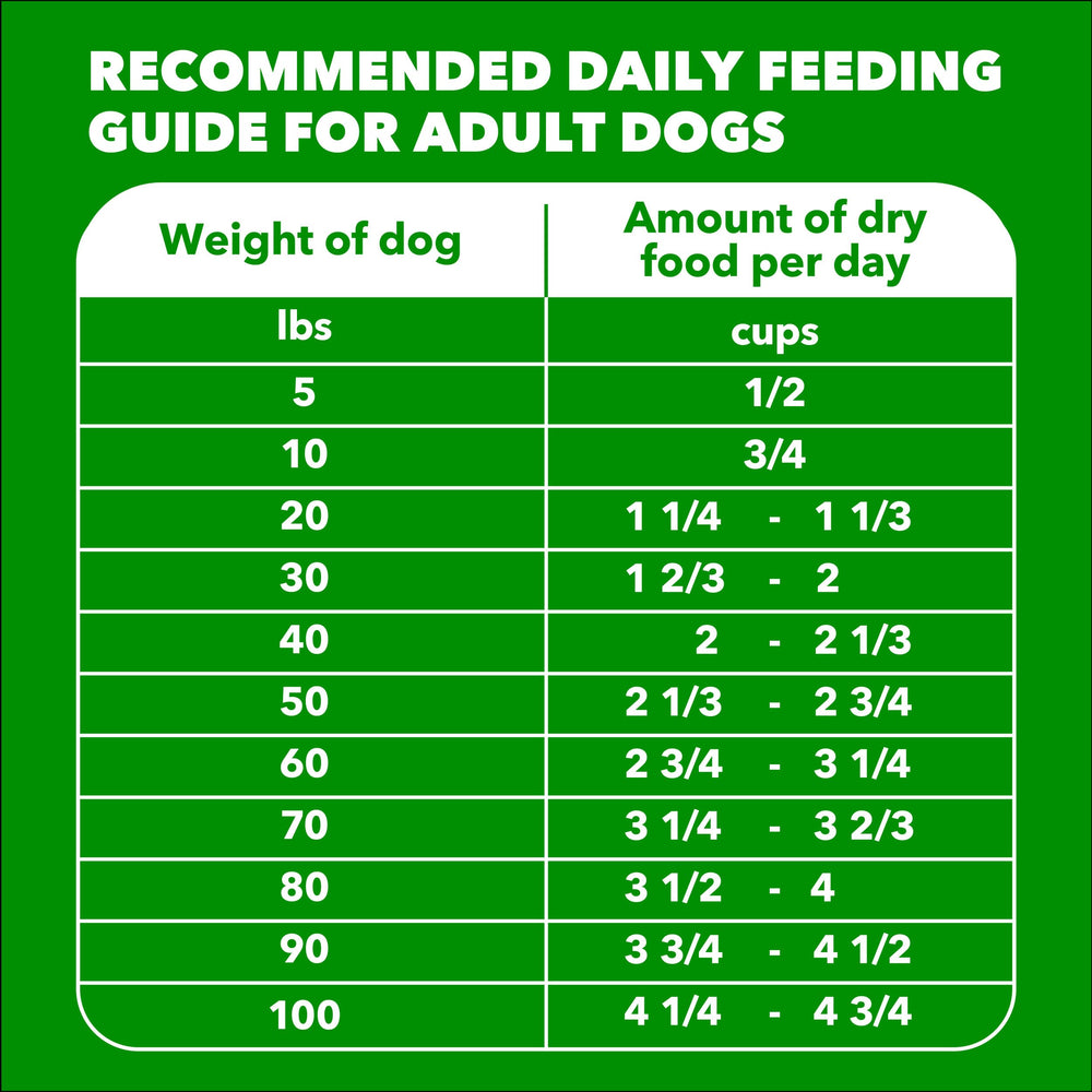 IAMS Proactive Health Minichunks label shows ingredients and feeding guidance.