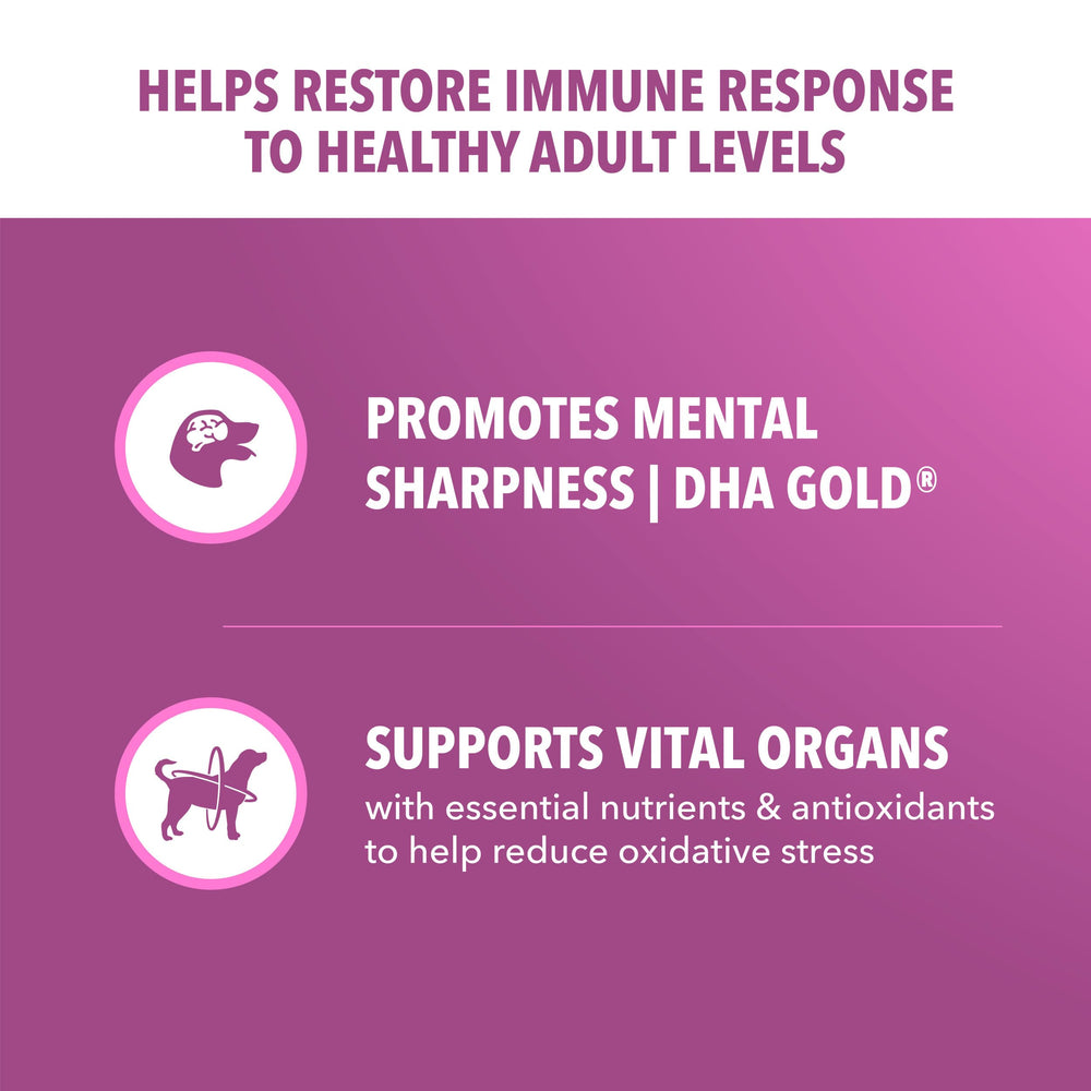 IAMS Proactive Health antioxidant blend Vitamin E Beta Carotene supports immune response