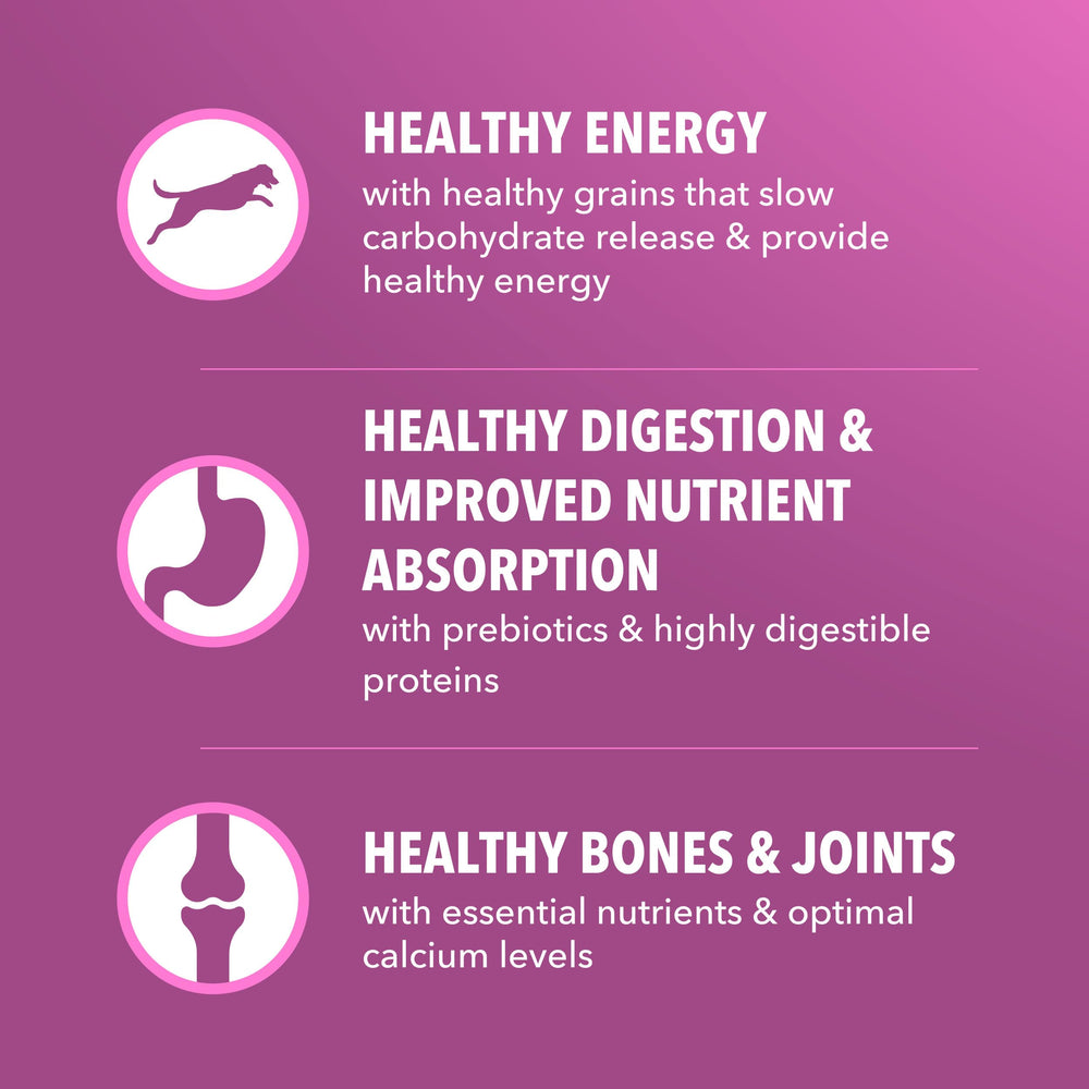 IAMS Proactive Health antioxidant blend with Vitamin E and Beta Carotene supports immune response.