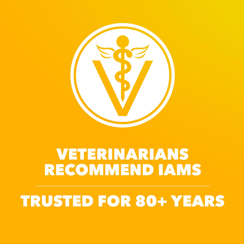IAMS Proactive Health antioxidants with vitamin E and selenium support immune health.