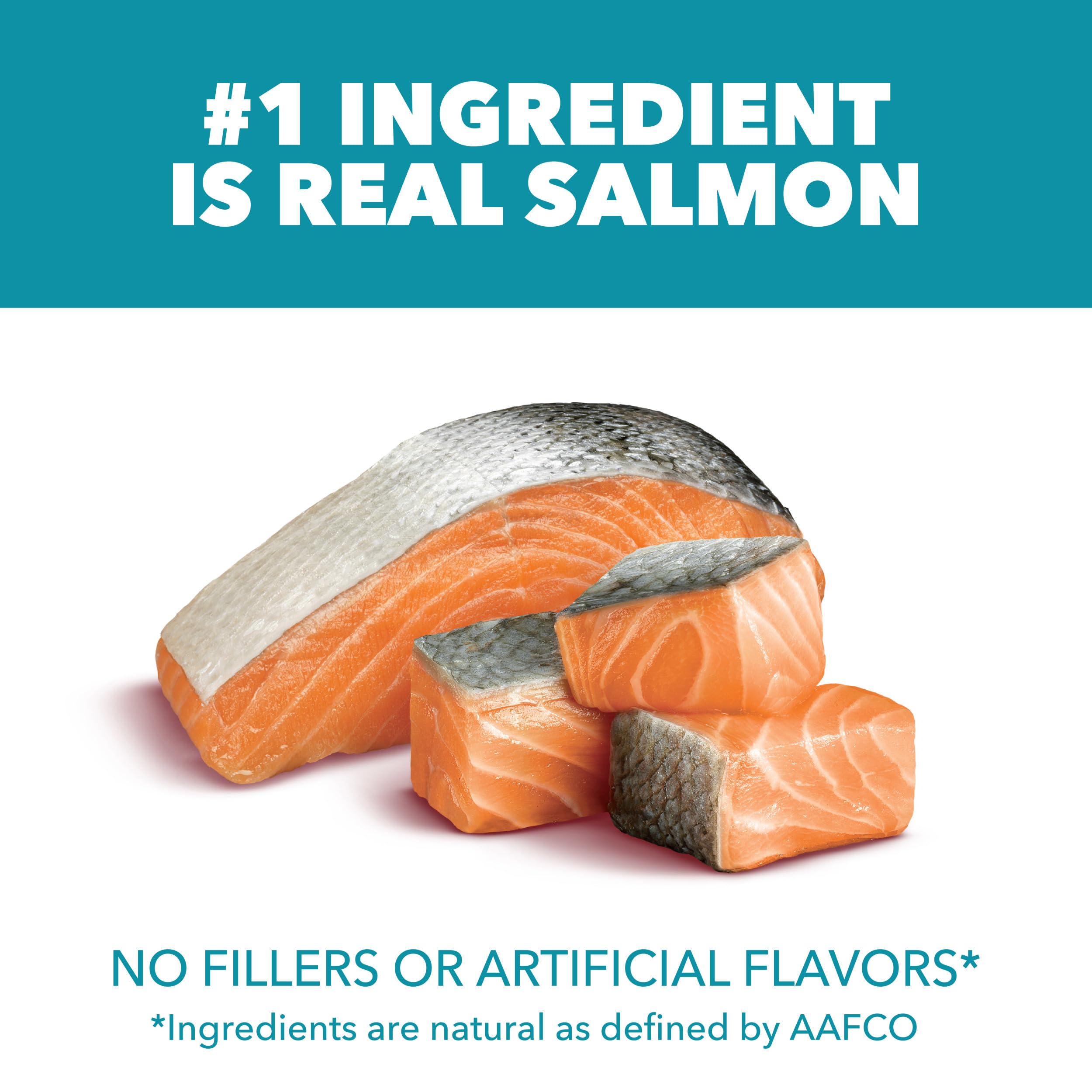 IAMS Proactive Health bag close-up highlighting real salmon as the top ingredient.