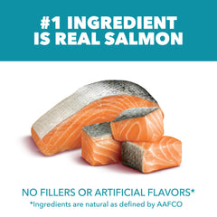 IAMS Proactive Health bag close-up highlighting real salmon as the top ingredient.