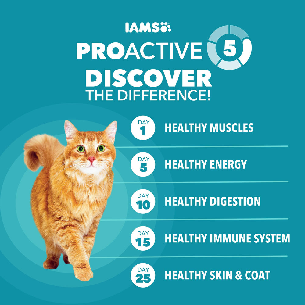 IAMS Proactive Health cat bowl serving demonstrates easy daily feeding for weight management.