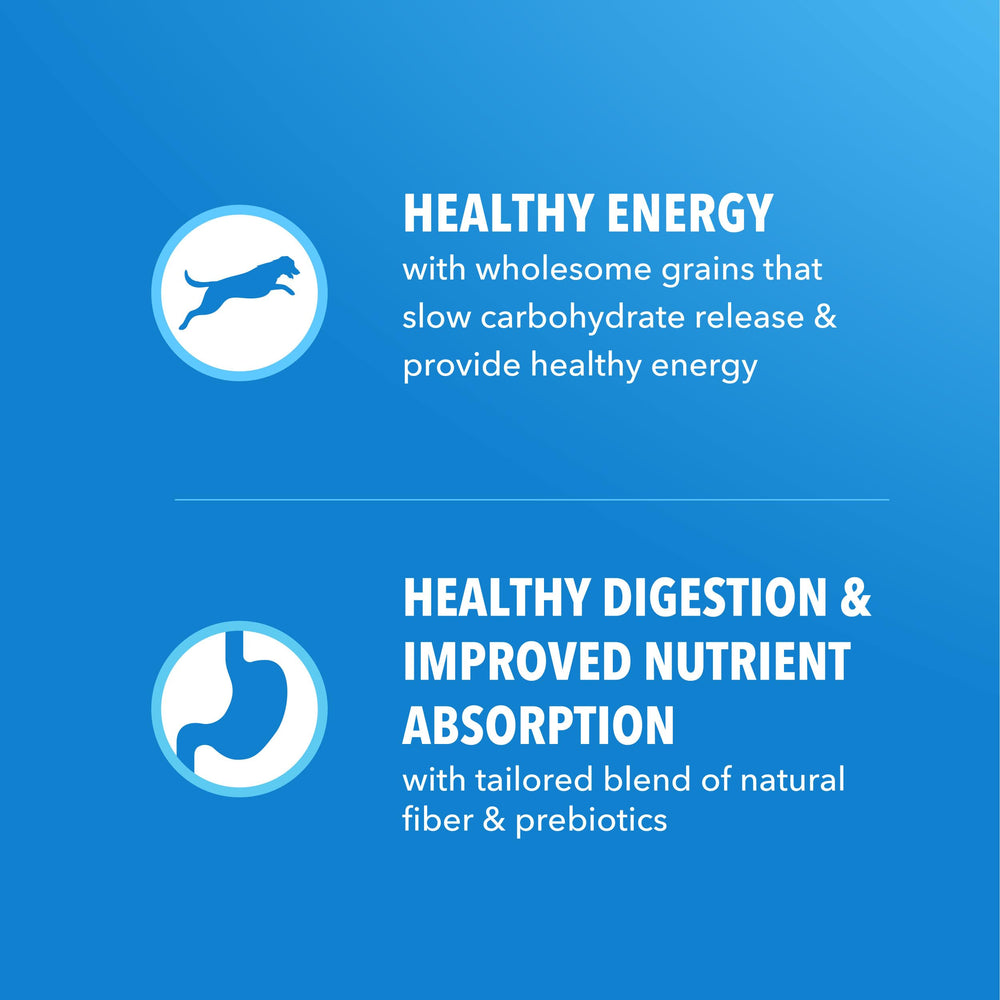 IAMS Proactive Health chicken protein for strong muscles