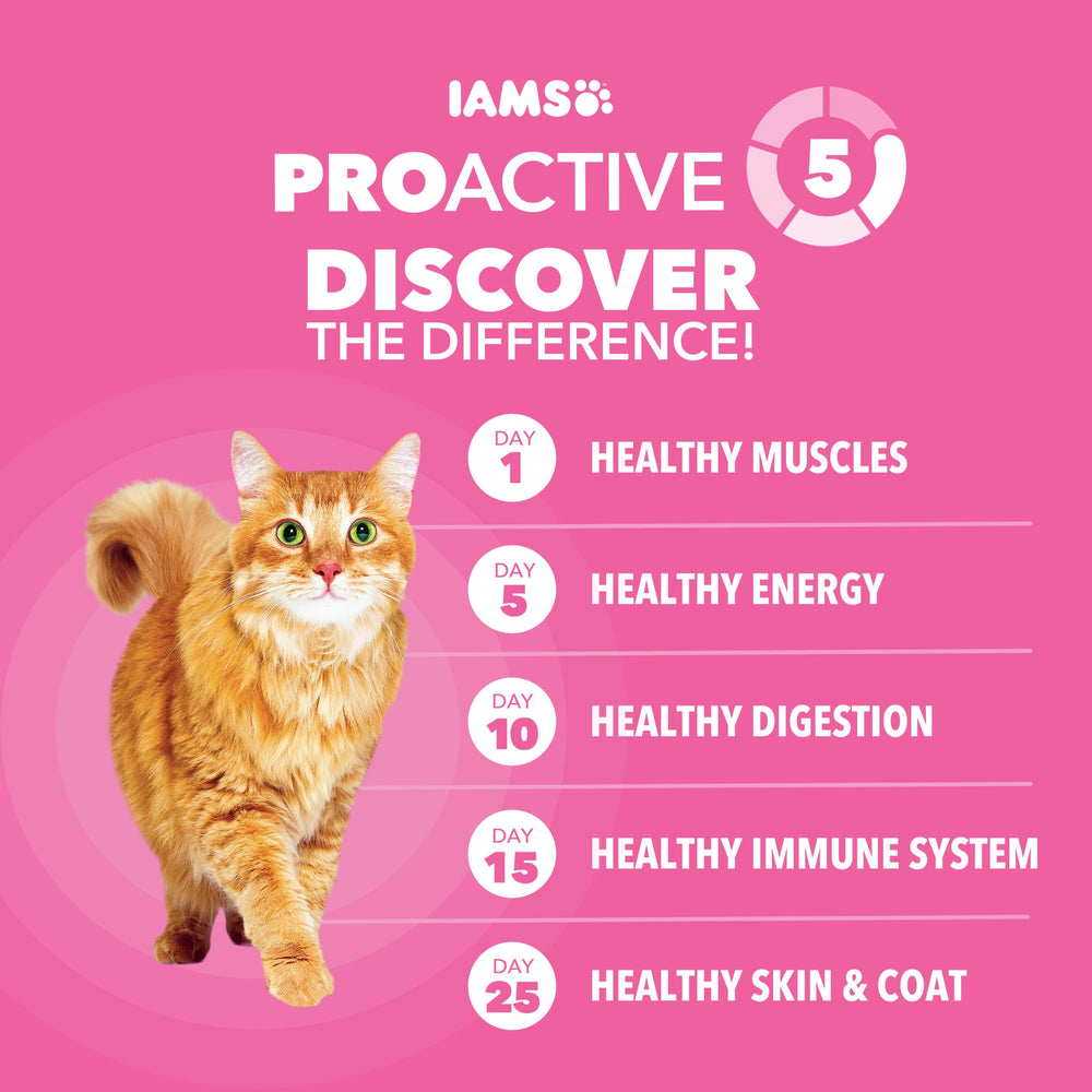 IAMS Proactive Health coat shine close-up after a meal