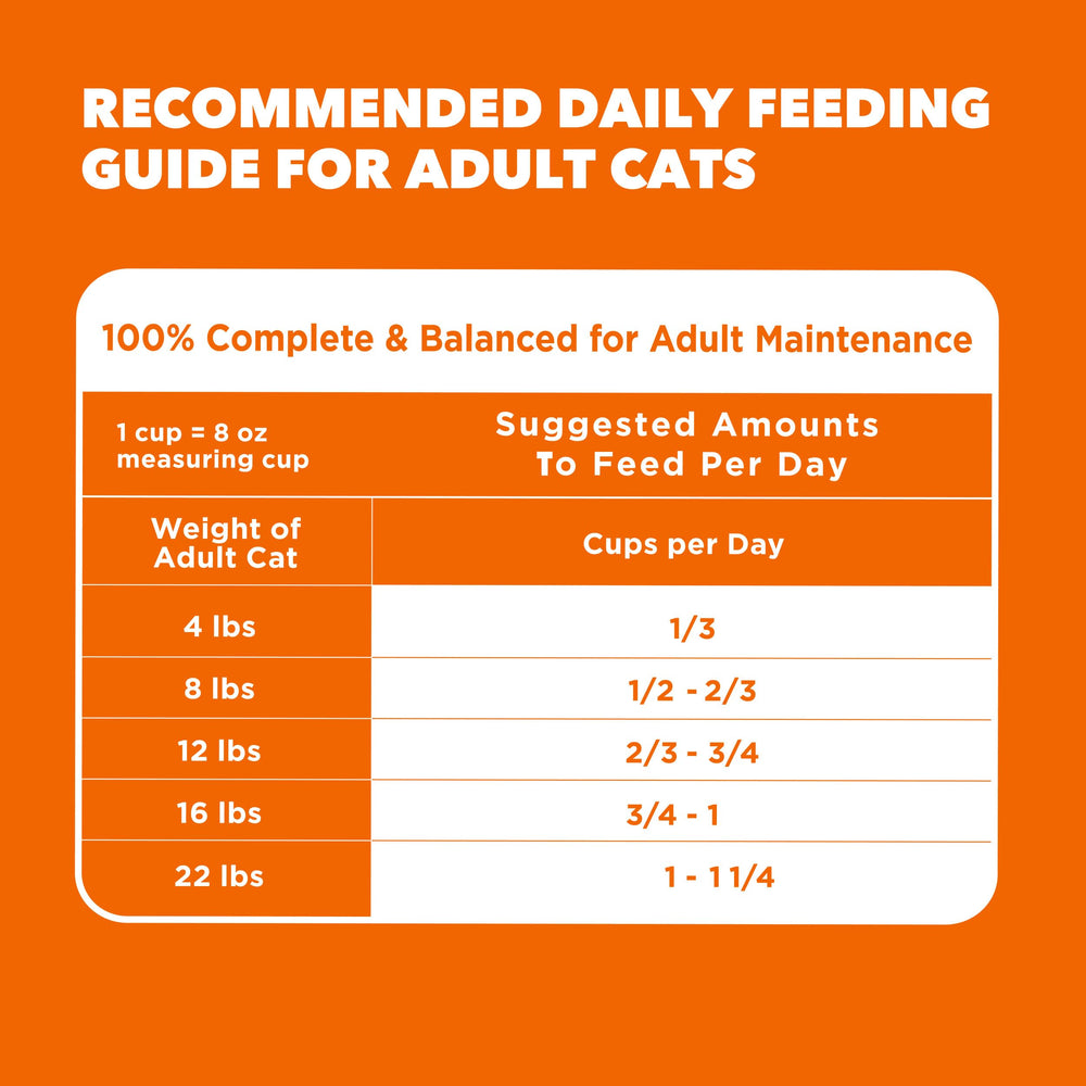 IAMS Proactive Health dry cat food designed for adult cats