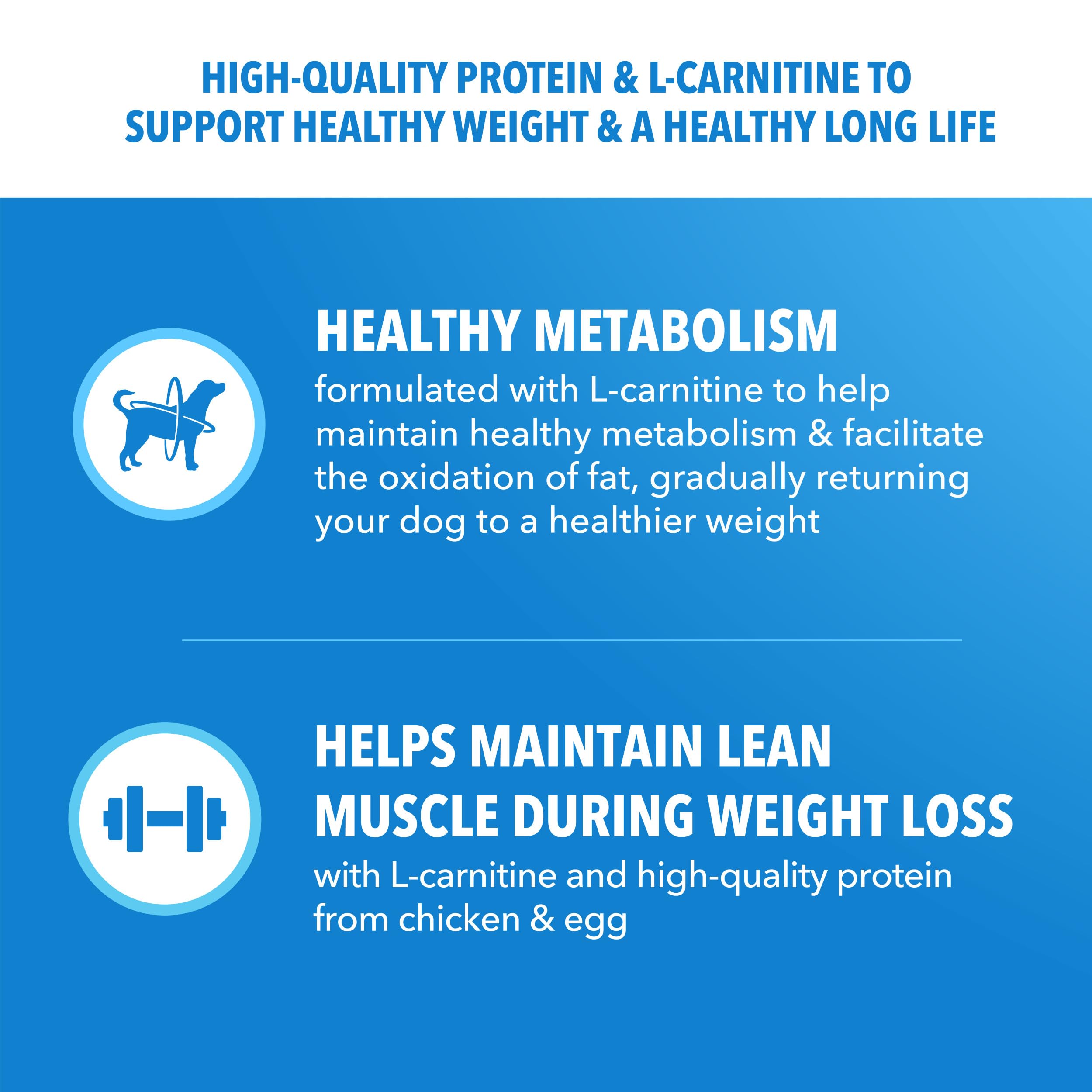 IAMS Proactive Health digestion blend with prebiotics and fiber illustration.