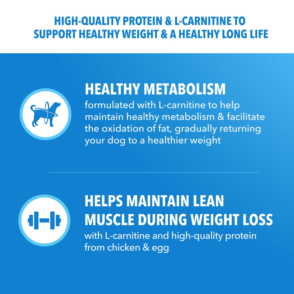 IAMS Proactive Health digestion blend with prebiotics and fiber illustration.