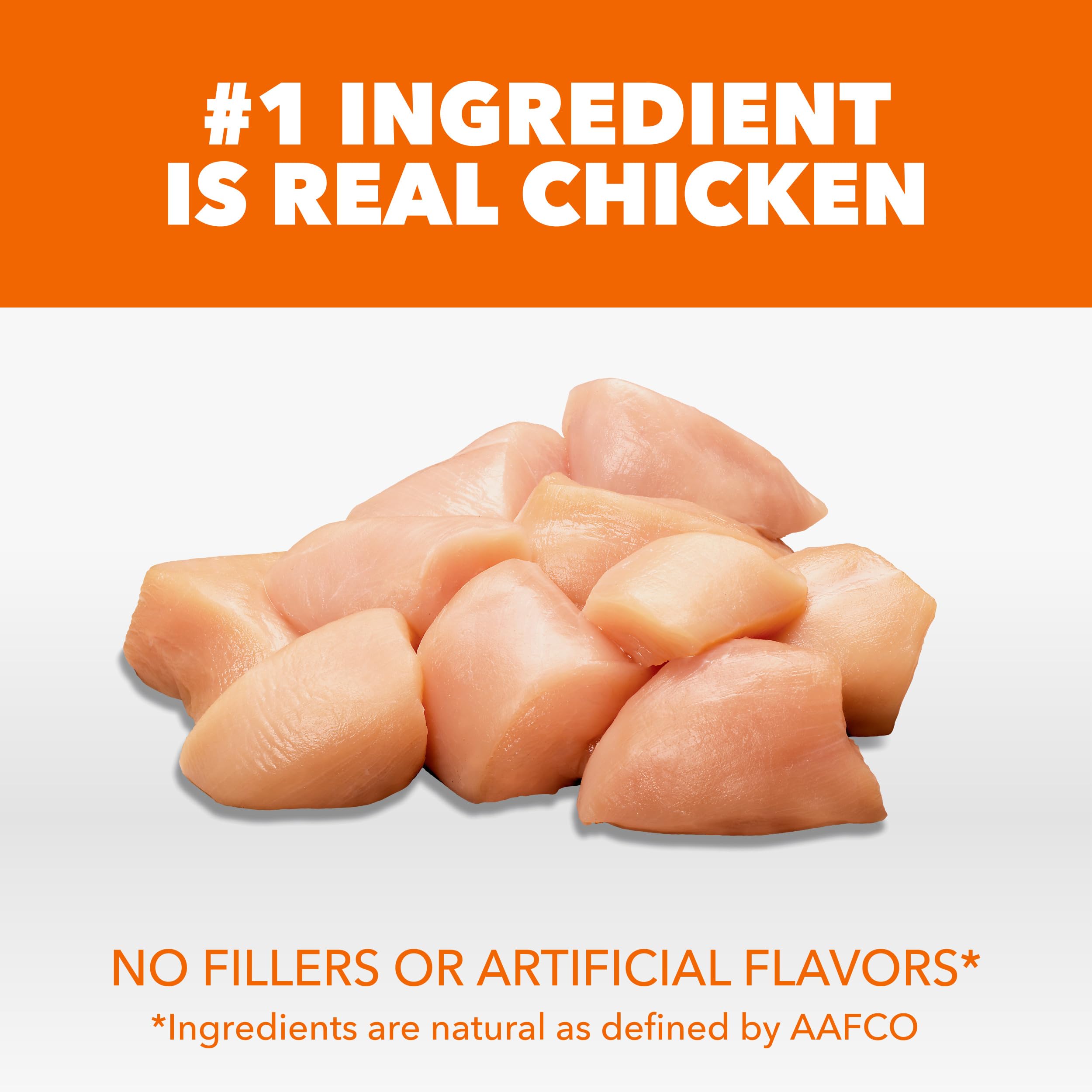 Close-up of IAMS Proactive Health kibble showing real chicken protein for activity