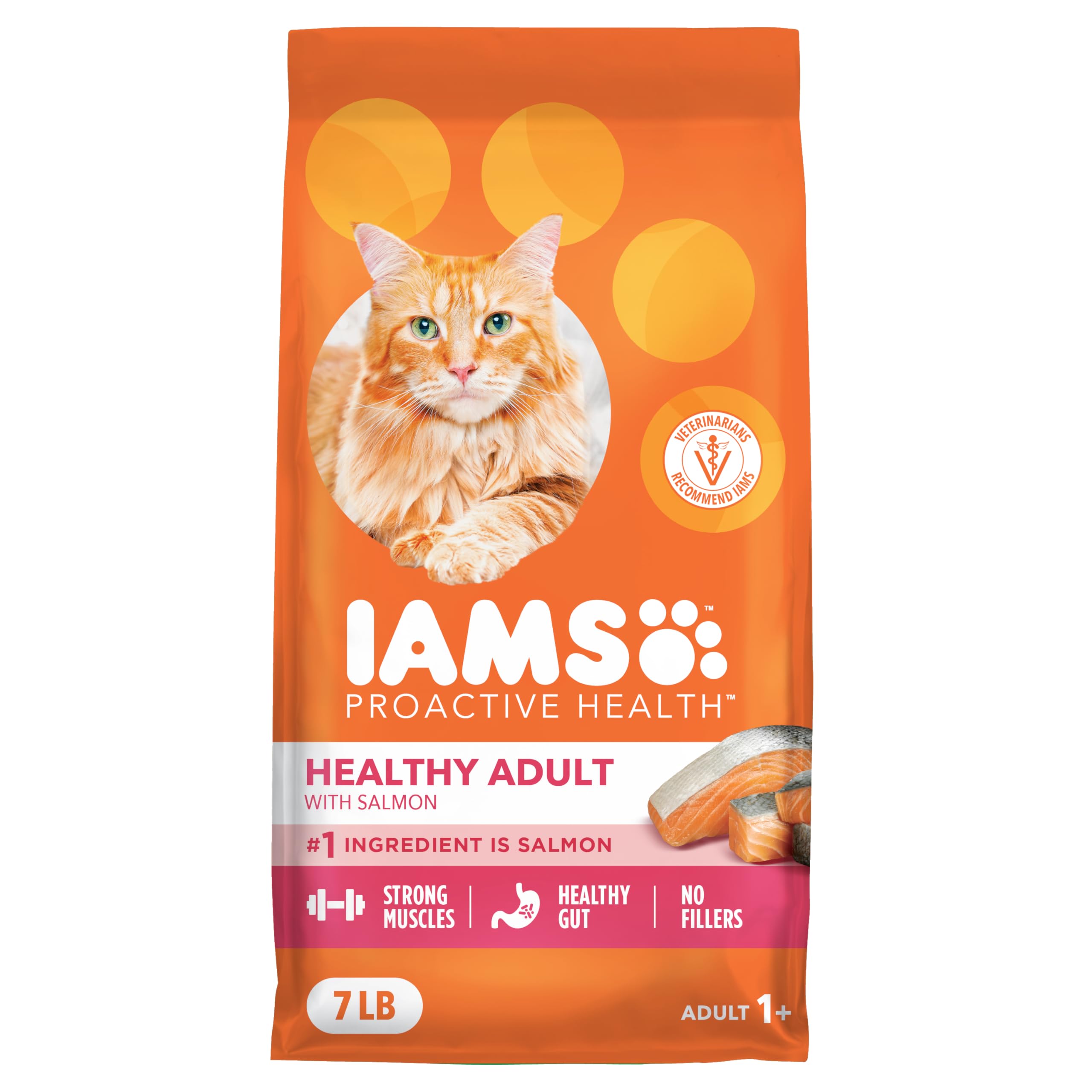 IAMS Proactive Health salmon dry cat food bag highlighting real salmon as the main ingredient for adult cats