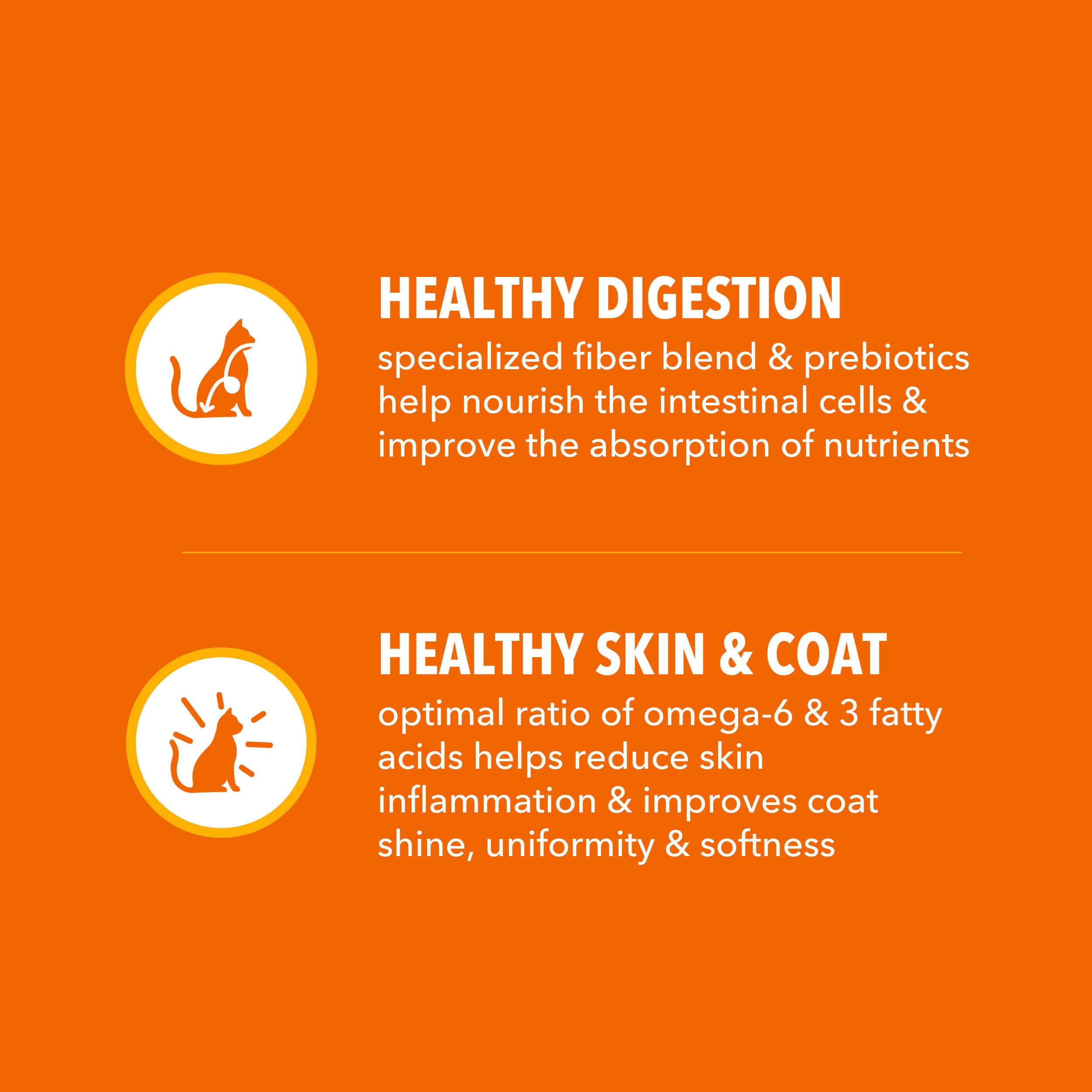 IAMS Proactive Health wholesome grains; provides essential nutrients and steady energy.