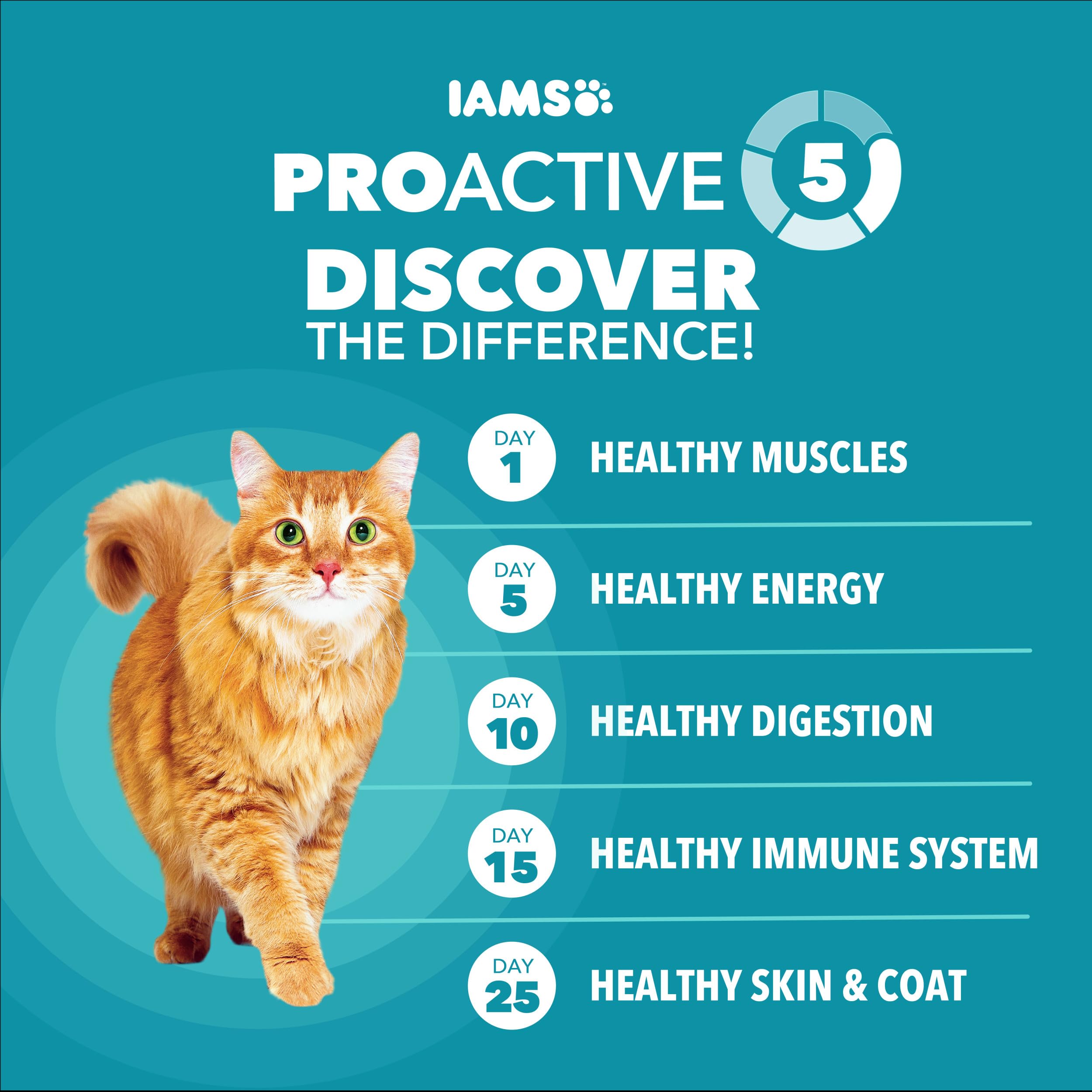 Fiber blend with beet pulp in IAMS Proactive Health
