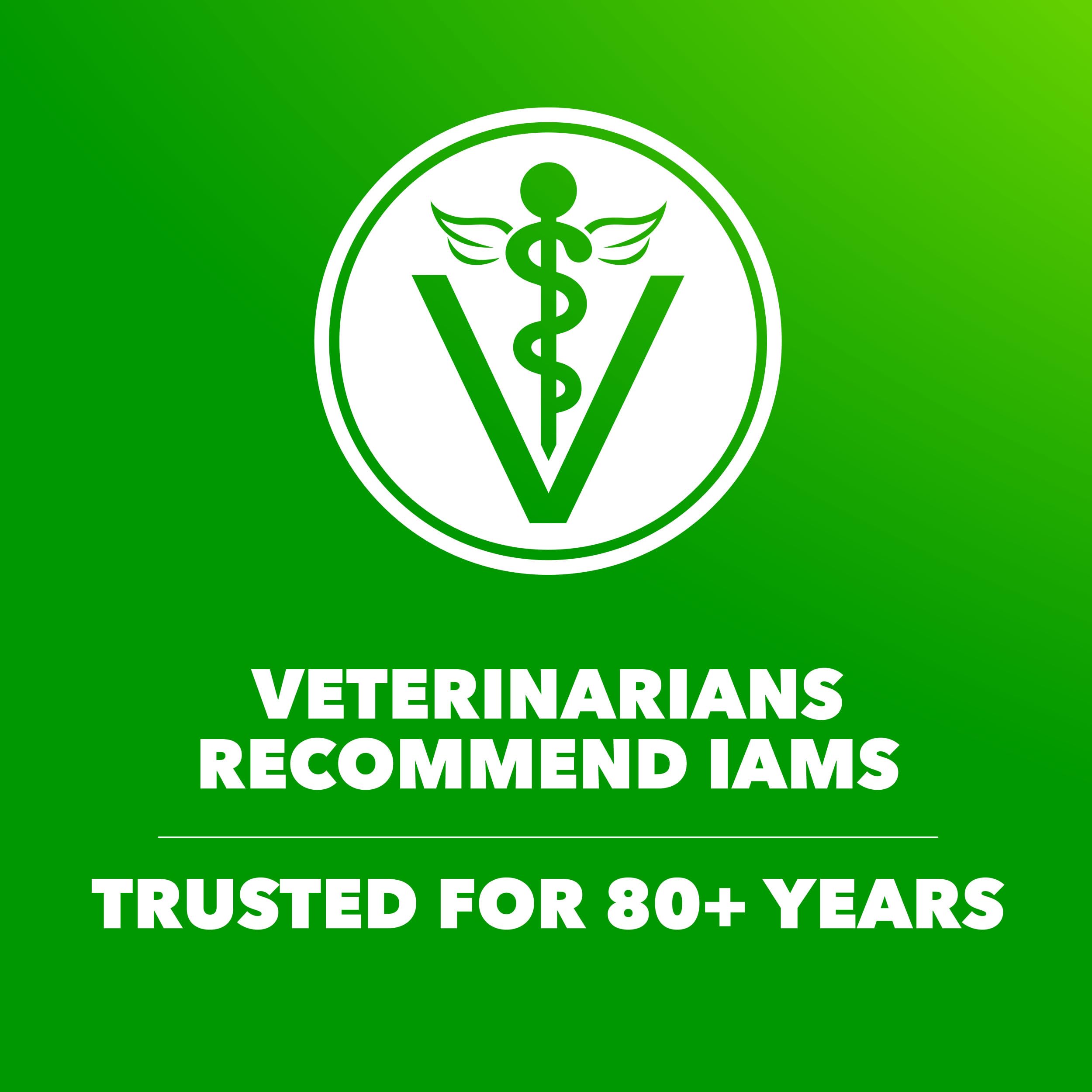 IAMS Proactive Health natural glucosamine and chondroitin support mobility.