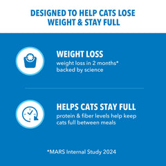 IAMS Proactive Health cat eating scene demonstrates meal satisfaction between meals.