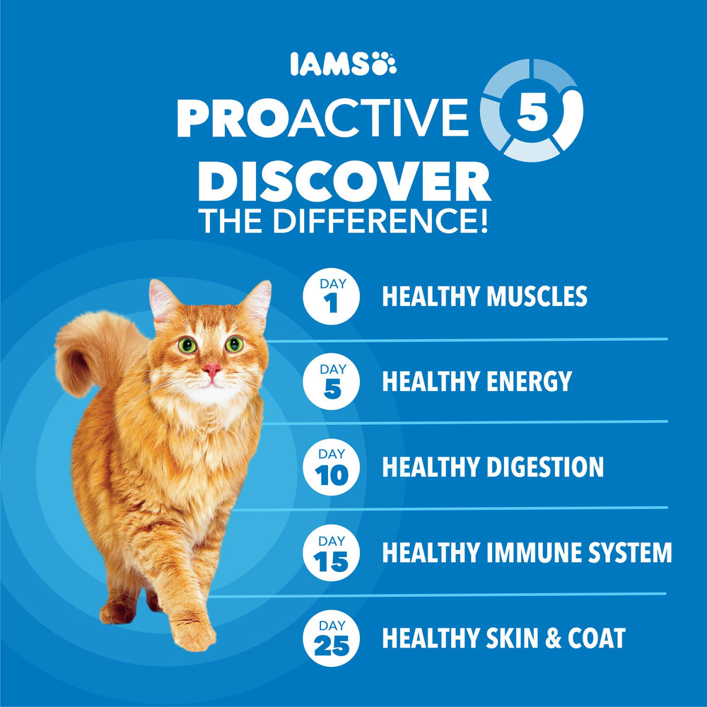 IAMS Proactive Health chicken ingredients close-up shows real chicken as first ingredient.