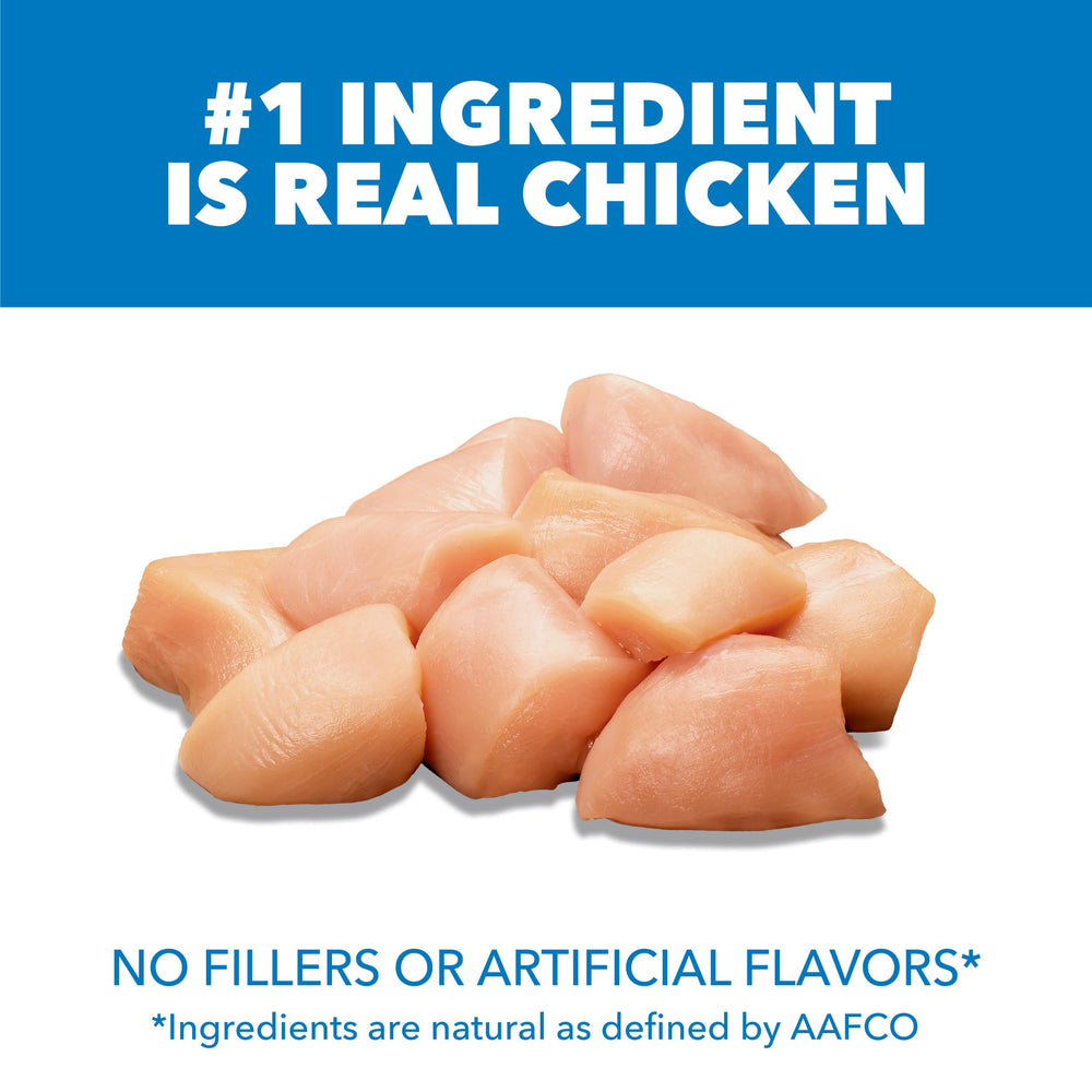 IAMS Proactive Health kibble close-up highlighting protein-rich formula for adults.