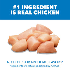 IAMS Proactive Health kibble close-up highlighting protein-rich formula for adults.