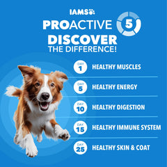 IAMS Proactive Health healthy weight formula for large breeds supporting energy balance