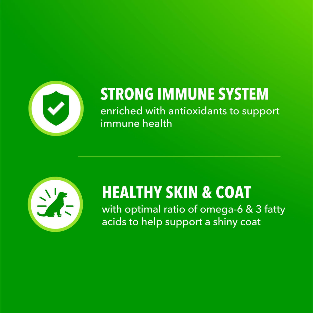 Beef-flavored recipe in IAMS Proactive Health offers palatable protein for dogs.