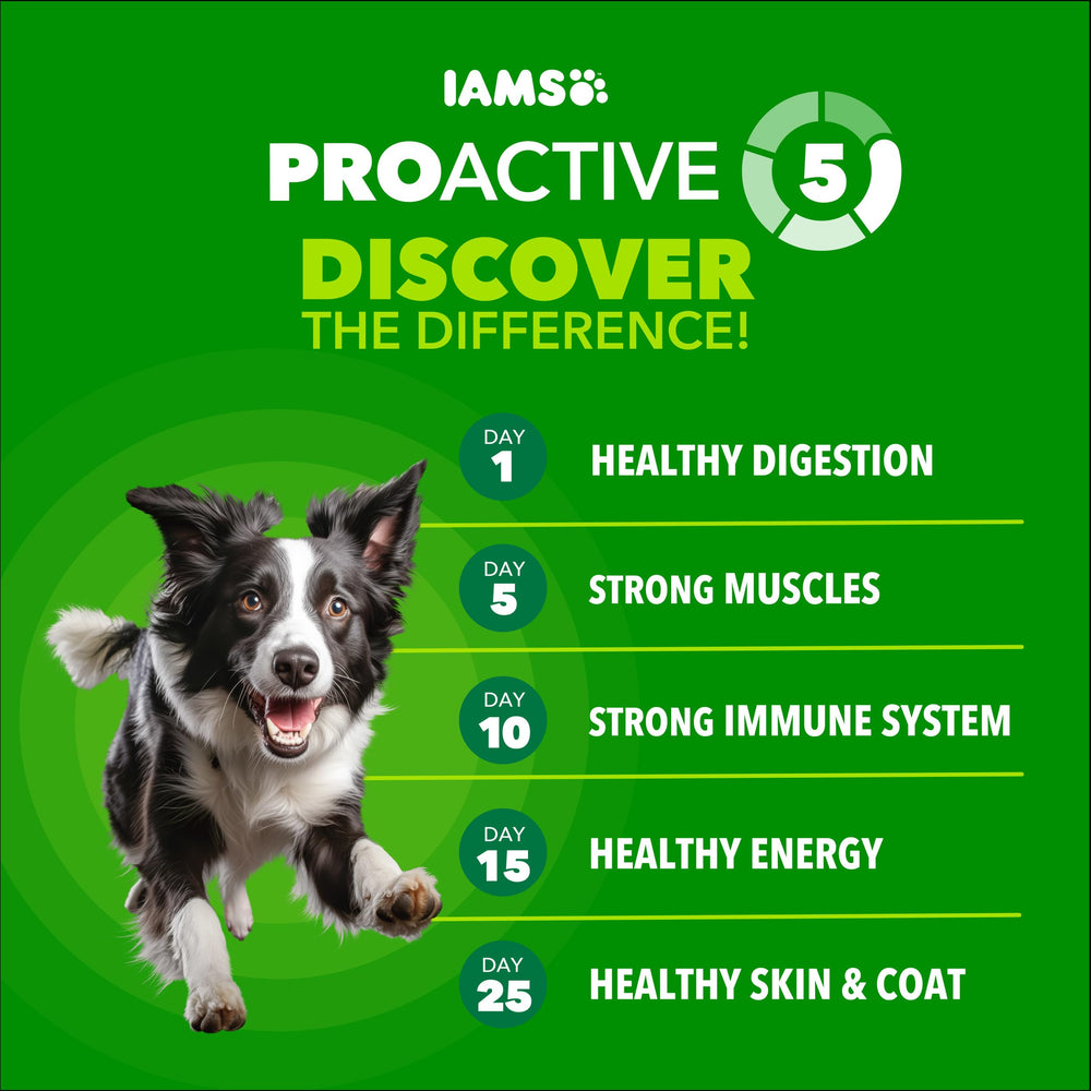 Wholesome grains in IAMS provide energy and essential nutrients.