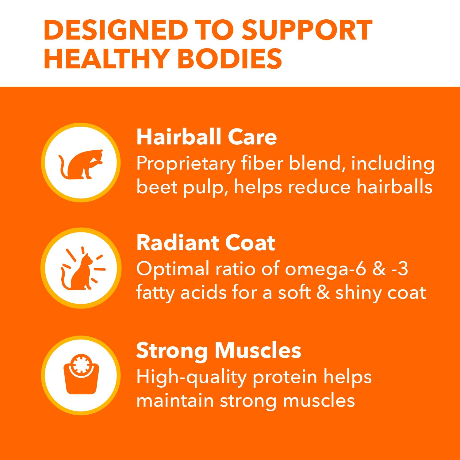 IAMS Proactive Health indoor cat meal served for daily feeding