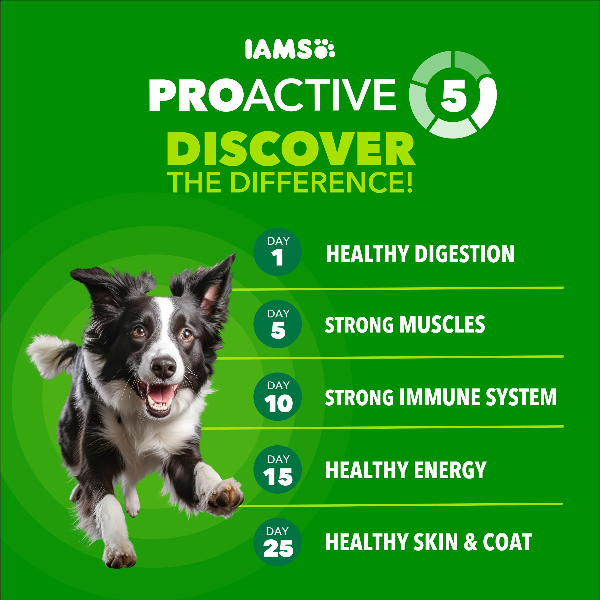 Close-up kibble texture from IAMS hints at strength in muscles