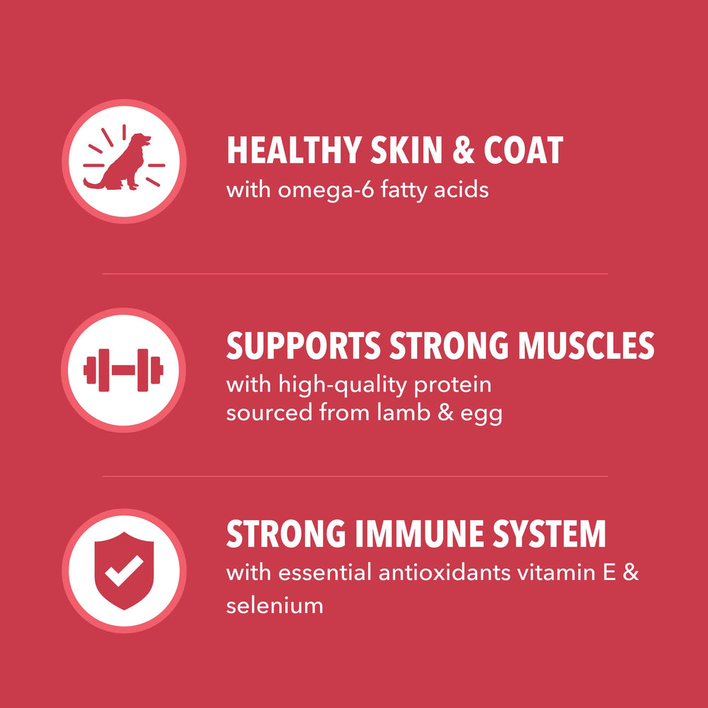 Kibble texture highlights natural fiber in IAMS Proactive Health formula.