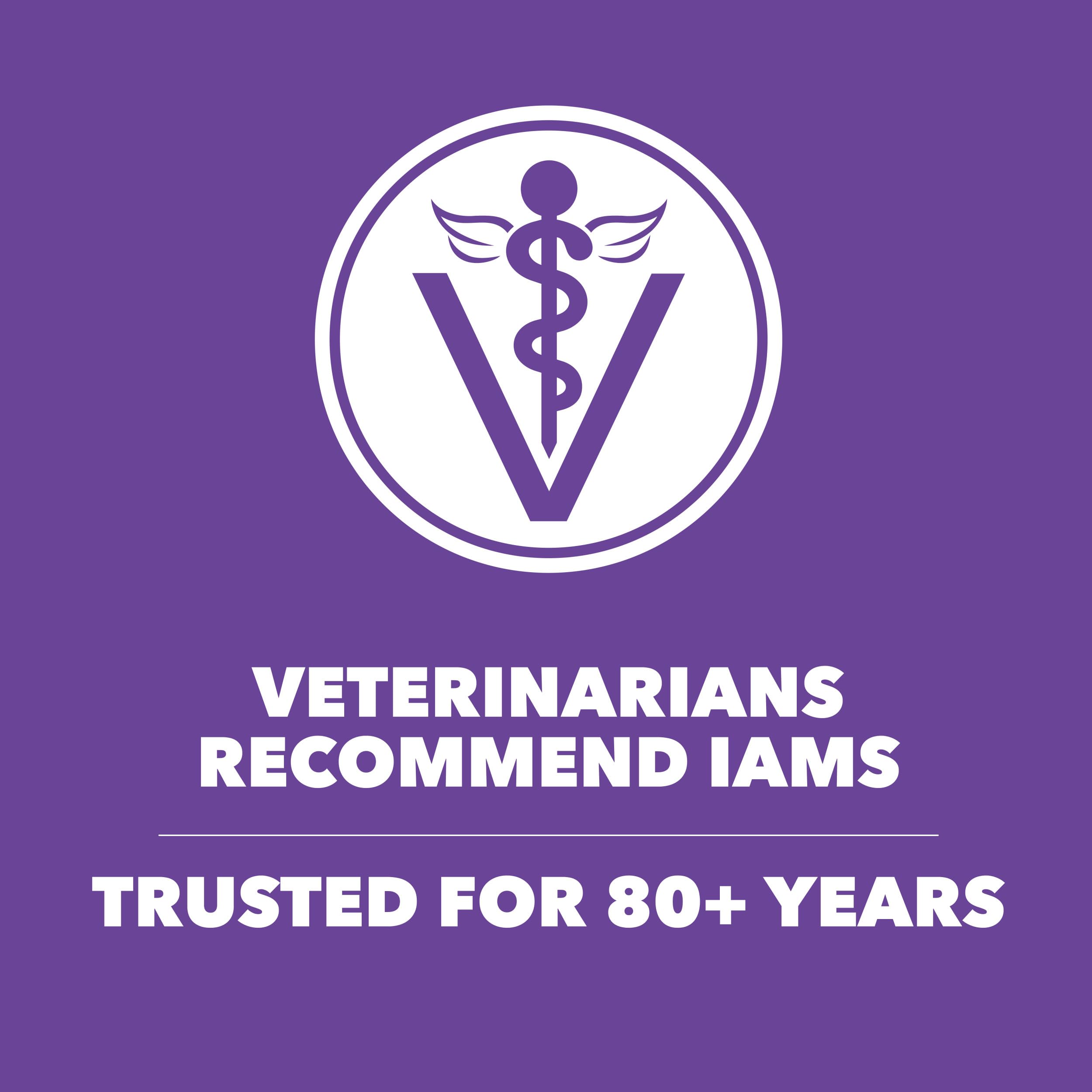 IAMS Proactive Health Kitten antioxidants image signals immune support potential.