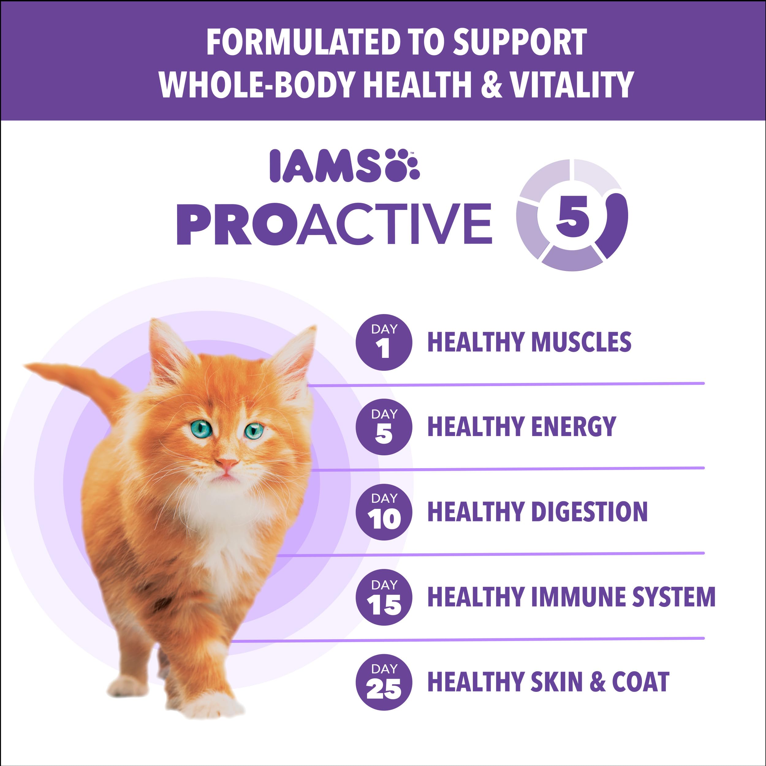Open bag of IAMS Proactive Health Kitten dry food showing easy feeding portions