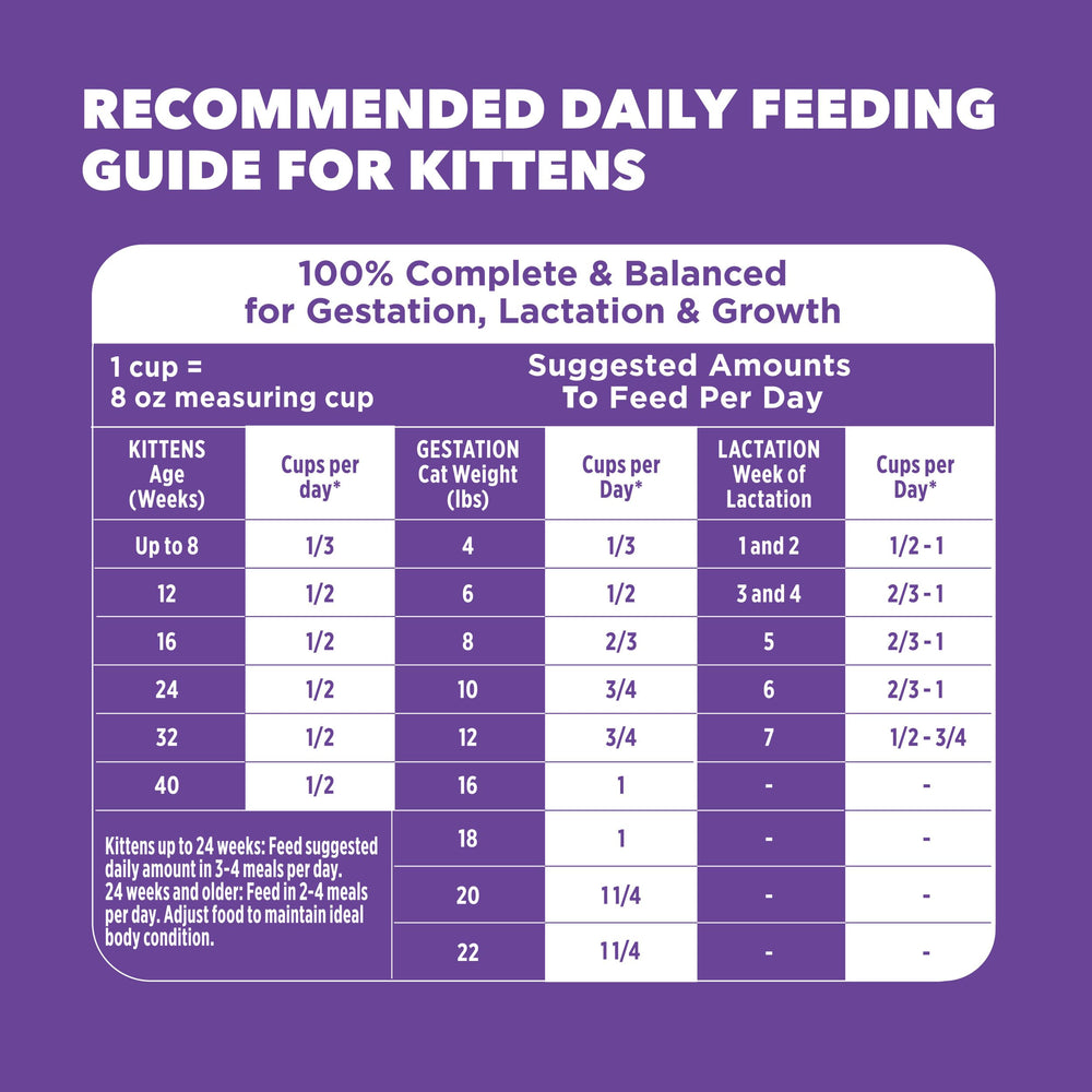 Happy kitten enjoying IAMS Proactive Health meal.