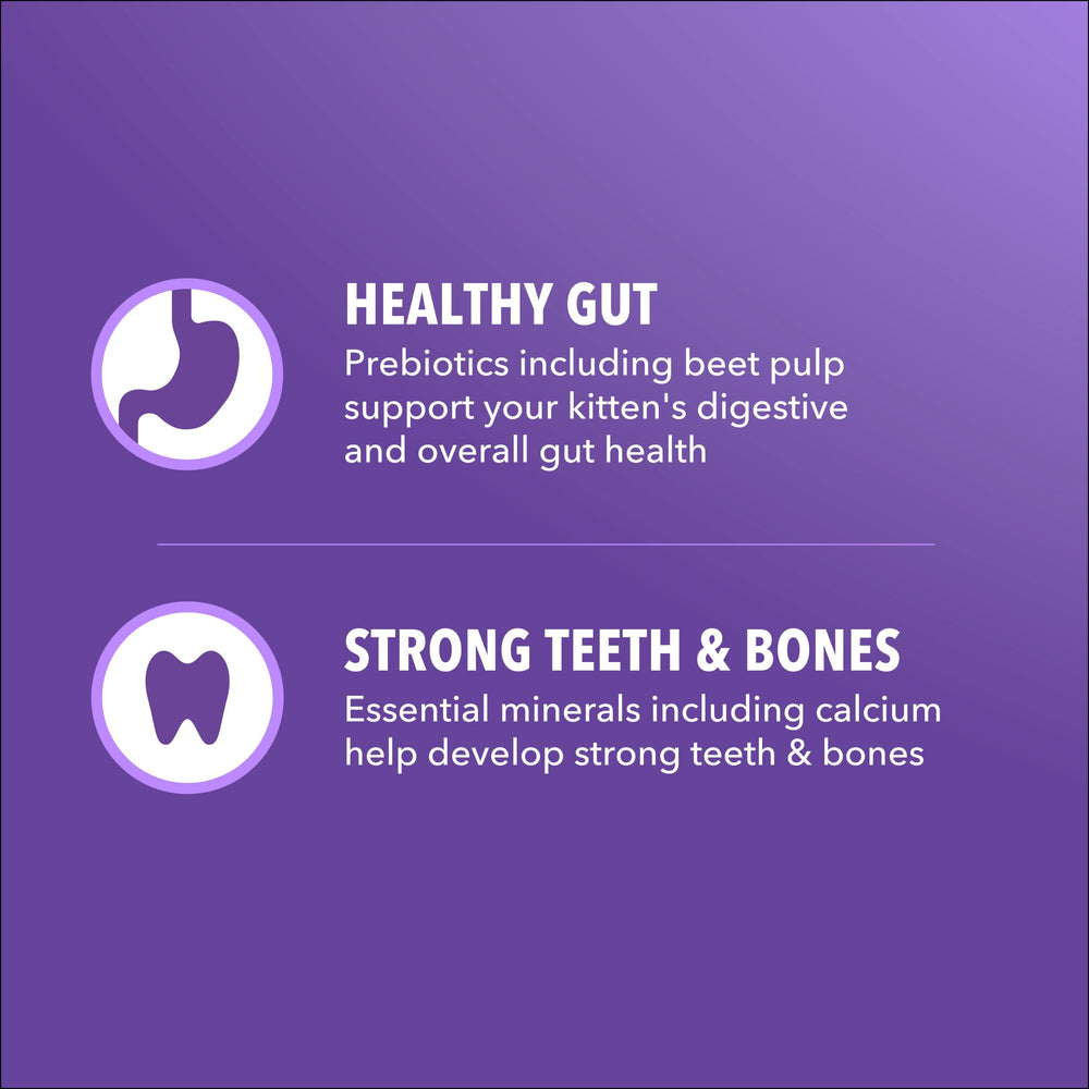 IAMS Proactive Health Kitten image shows DHA supporting healthy brain development.